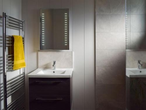 a bathroom with a sink and a mirror at Willow Lodge - Uk13637 in Creetown