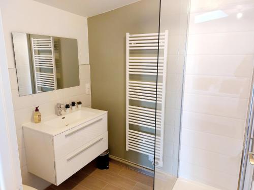 a bathroom with a sink and a shower at Ravissant T2 terrasse privative et parking in Odos