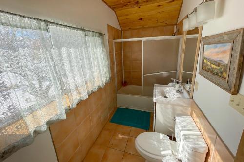 mała łazienka z toaletą i prysznicem w obiekcie SnowMansion Taos Adventure Lodge w mieście Arroyo Seco