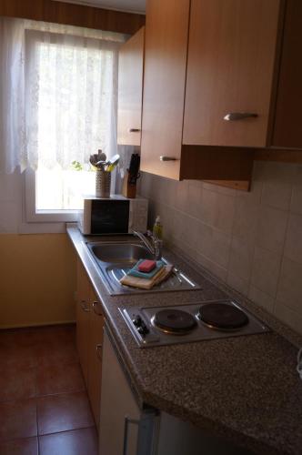Ferienhaus am Luckower Seeにあるキッチンまたは簡易キッチン