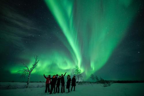 un groupe de personnes debout sous les feux du nord dans l'établissement Lapland Lodge, à Tepsa