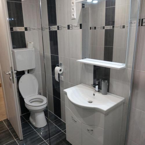 een badkamer met een toilet en een wastafel bij Árkád Center Apartman in Szeged