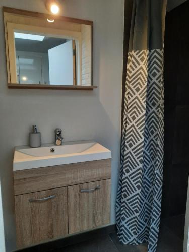 a bathroom with a sink and a mirror and a shower curtain at Huisje op de Muur van Geraardsbergen in Geraardsbergen