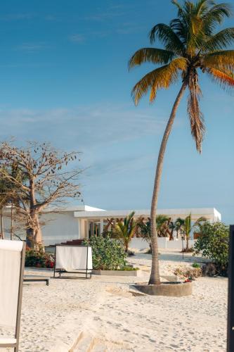 a palm tree on the beach with a table and chairs at Safira Blu Luxury Resort & Villas in Nungwi