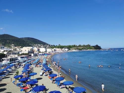 Foto Monolocale Ischia Isola Verde 6