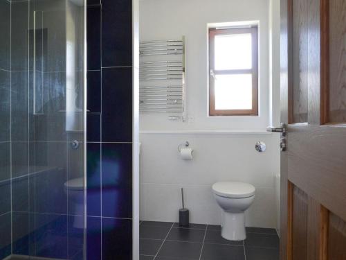 a bathroom with a toilet and a shower and a window at Battanropie Lodge in Carrbridge