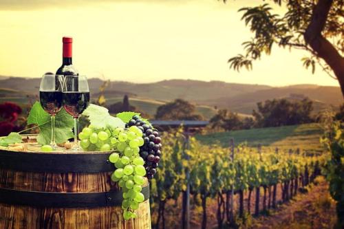 a bottle of wine and a bunch of grapes on a barrel at Alma Retreat, King bed, Family, Pet Friendly in Alma