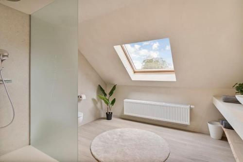 a bathroom with a skylight and a shower and a rug at Schitterende loft met jacuzzi en sauna in Mechelen in Mechelen