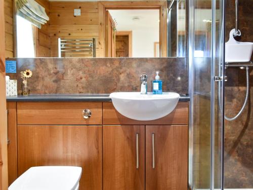 a bathroom with a sink and a shower at The Stables Studio in Haydon Bridge