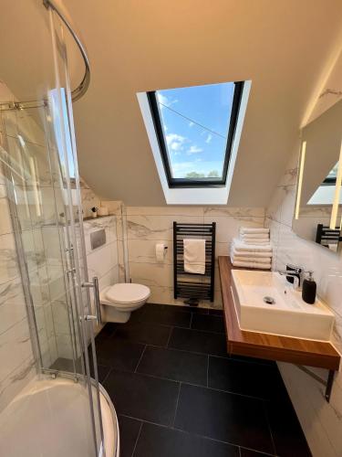 a bathroom with a sink and a toilet and a window at JUNIPRO Apartments & Rooms in Bosen-Eckelhausen