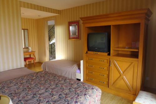 um quarto com uma cama e uma televisão numa cómoda em Guesthouse Belgrade em Kobuleti