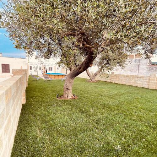 Jardin de l'établissement U Ceccenate