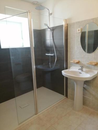 a bathroom with a shower and a sink at au monde mystérieux maison-canon-lan in Ménéac