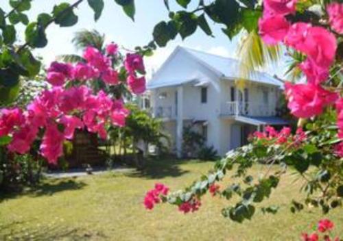 a house with pink flowers in front of it at appartement lagon blue in Mahébourg
