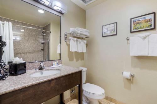 een badkamer met een wastafel, een toilet en een spiegel bij Comfort Suites Pflugerville - Austin North in Pflugerville