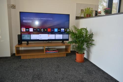 a flat screen tv on a wooden stand with a potted plant at Cozy & Bright 2-Bedroom Apartment with Large Balcony and Free Parking in Oxford