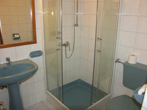 Ванная комната в Adler Panzio