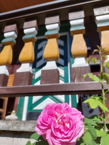 a pink rose in front of a bench at Appartement Wurzrainer in Westendorf