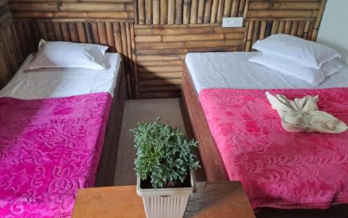 two beds with pink sheets and a plant on a table at Kasturi Farmstay by StayApart in Bijanbāri Bāzār