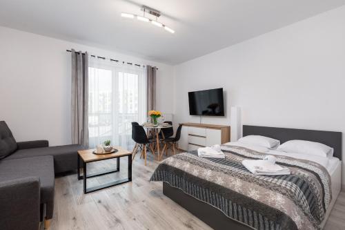 una camera con letto, divano e TV di Łużycka Cosy Studio by Renters a Świnoujście