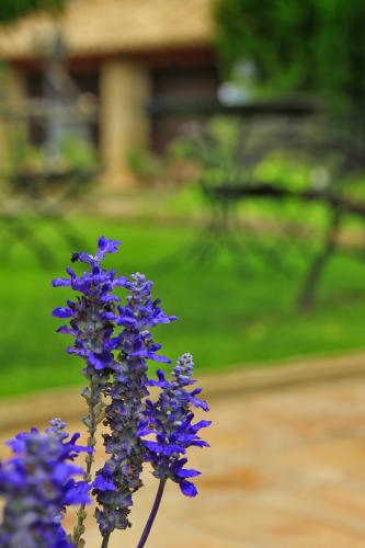 a vase filled with purple flowers next to a bench at Hotel El Convent 1613 in La Fresneda