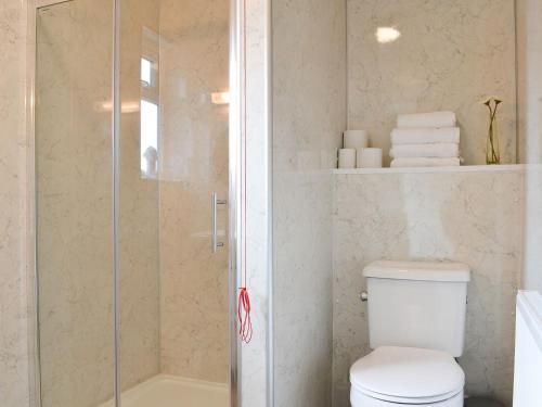 uma casa de banho com um WC e uma cabina de duche em vidro. em The Racecourse Lodge em Hexham