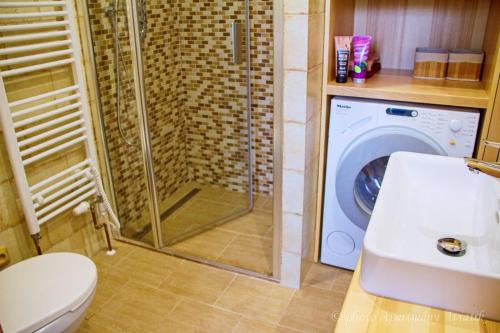 a bathroom with a shower and a washing machine at Aviatik apartmány in Jeseník