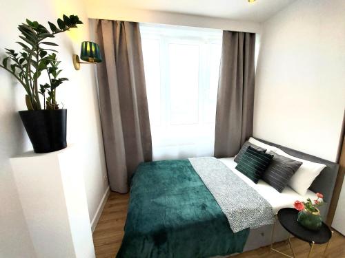 een slaapkamer met een bed en een potplant bij Rental Apartments Smolna in Warschau