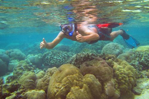 a man is swimming over a coral reef at Villa dauphin in Bel Ombre