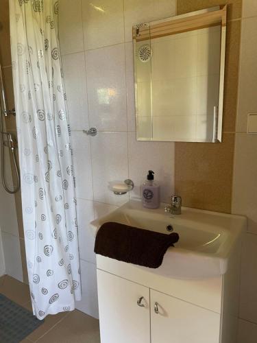 ein Bad mit einem Waschbecken und einer Dusche mit einem Spiegel in der Unterkunft Gintaro sodyba in Lazdijai