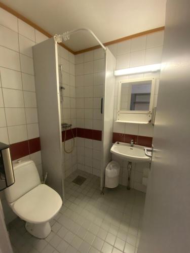 a small bathroom with a toilet and a sink at Overnattingsrom Rudshøgda in Eriksrud