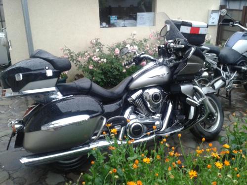 a black motorcycle parked in front of some flowers at CASA DIDINA fosta Pensiune Casa Didina in Bacău