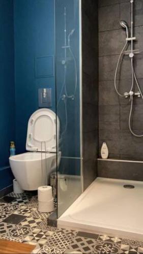 une salle de bain avec toilettes et douche en verre dans l'établissement Les bords de Seine, à Vernon