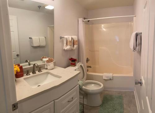 ピジョン・フォージにあるRiver Place Condos #711 3BDの洗面台、トイレ、シャワー付きのバスルーム