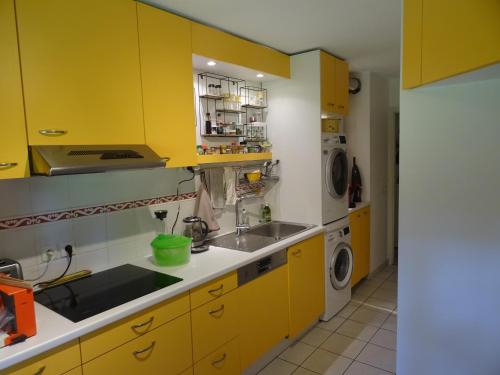 a yellow kitchen with a sink and a washing machine at Le Hameau in Mutzig