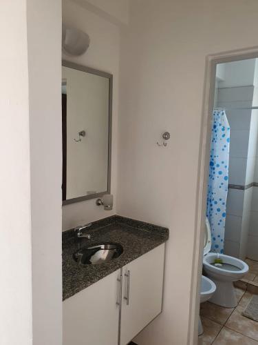 a bathroom with a sink with a mirror and a toilet at Departamento Augusta II in Posadas