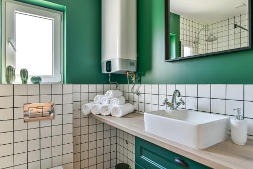 a green bathroom with a sink and a mirror at Domki z Pasją in Kopalino