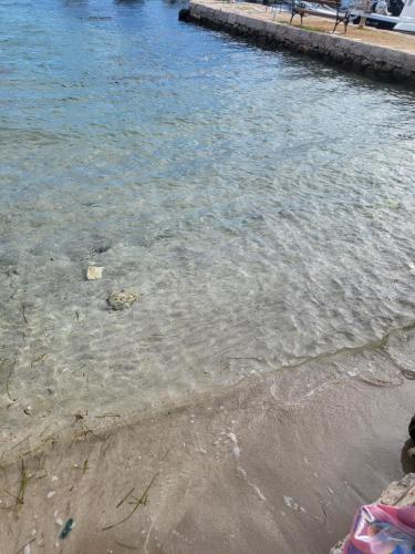 a body of water with a bench on the shore at Villa Maza in Ždrelac