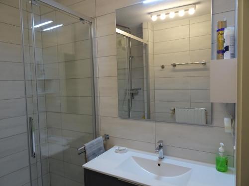 ein Bad mit einem Waschbecken und einer Dusche mit einem Spiegel in der Unterkunft Le Hameau in Mutzig