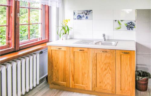 een keuken met een wastafel en een radiator bij Pet Friendly Home In Lidzbark Warminski With Kitchen in Redy