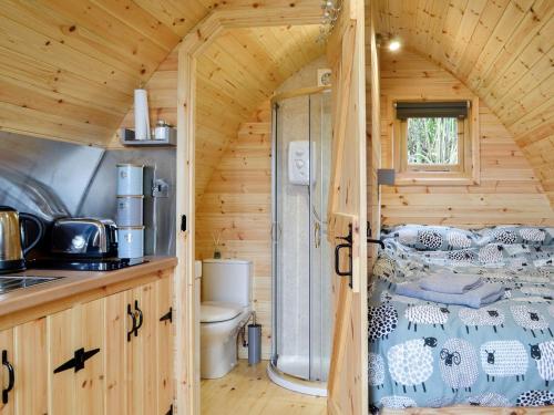 a bathroom in a log cabin with a toilet and a sink at Castle View Glamping in Llanbister