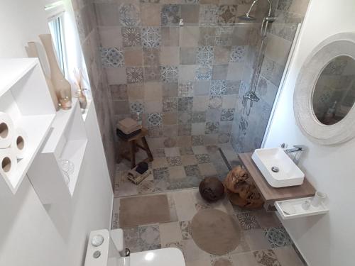 uma casa de banho com um chuveiro, um WC e um lavatório. em Au champ du coq em Sepmeries