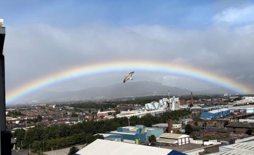a bird flying under a rainbow over a city at James Clow Bed & Breakfast in Belfast