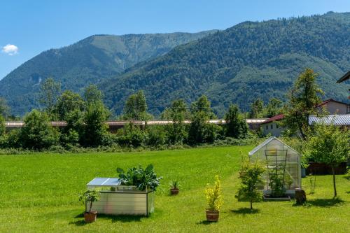 a garden with a greenhouse and mountains in the background at Frühstückspension Haus Ahamer in Ebensee