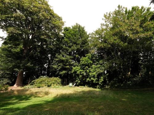 a field of grass with trees in the background at Mille et une feuilles in Saint-Martin-lez-Tatinghem