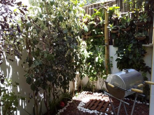 a garden with a wheelbarrow next to a plant at Casa em Imbassai in Imbassai