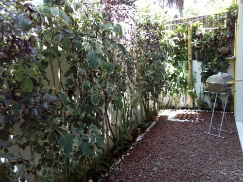 a garden with a fence and some plants at Casa em Imbassai in Imbassai