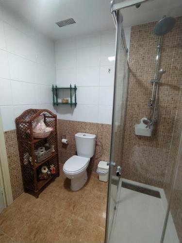 a bathroom with a toilet and a glass shower stall at La antigua escuela bajo la Tesla in Incinillas