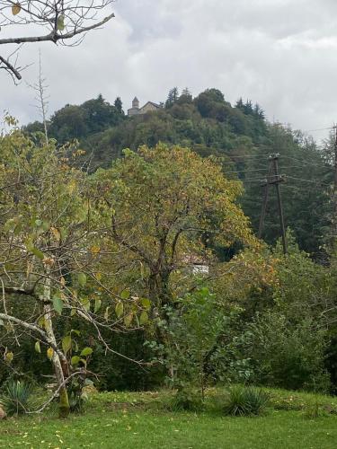 Paisaje cerca de esta villa