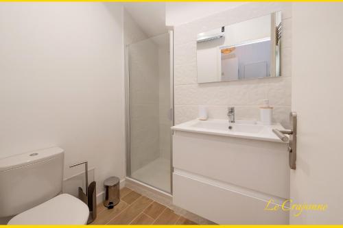 uma casa de banho com um WC, um lavatório e um chuveiro em Le Craponne - Magnifique appartement cours principal plein centre avec parking em Salon-de-Provence
